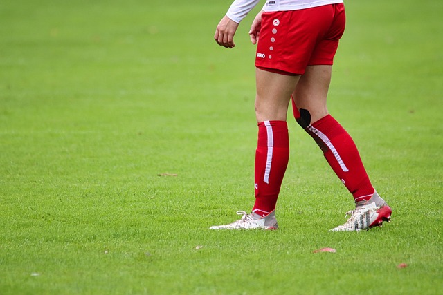 伤病恢复 伤病恢复