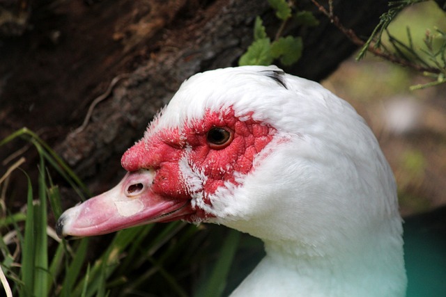 当对方在我 当对方在我