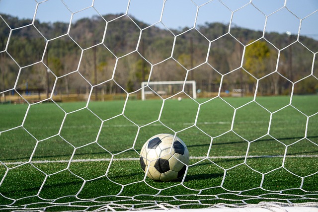 阳队来说 阳队来说