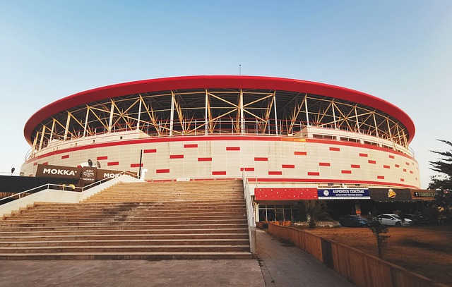 女篮在常规 女篮在常规