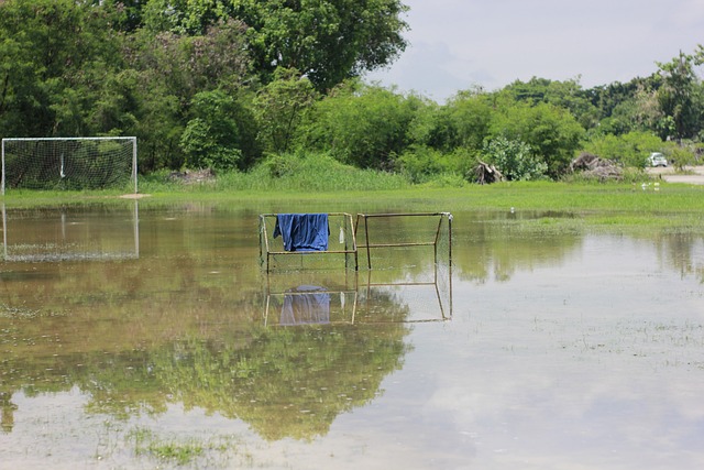 他的场均铲 他的场均铲