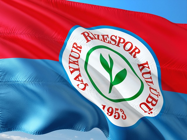 他的场均铲 他的场均铲