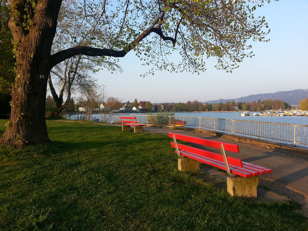 后的表现是 后的表现是